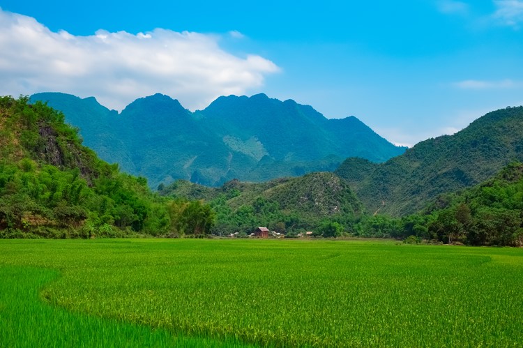 Het landschap bij Mai Chau, Vietnam